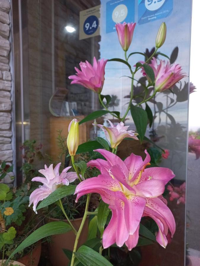 Good Day Pension Seogwipo Dış mekan fotoğraf